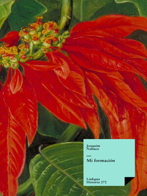 cover image of Mi formación